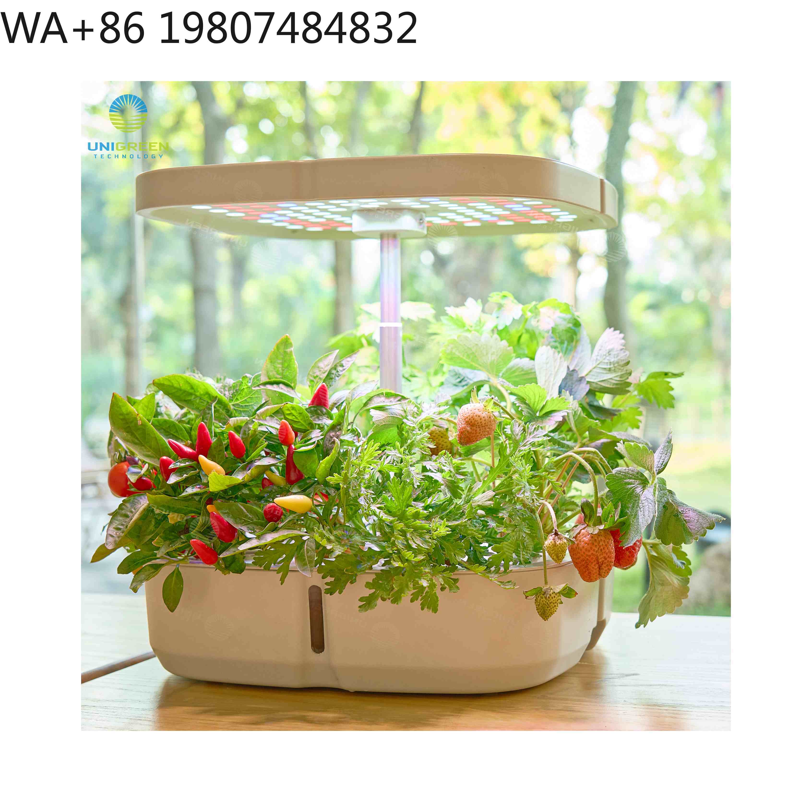Hydroponic Grow Pod - 8 Pod Mini Hydroponic Grow Box