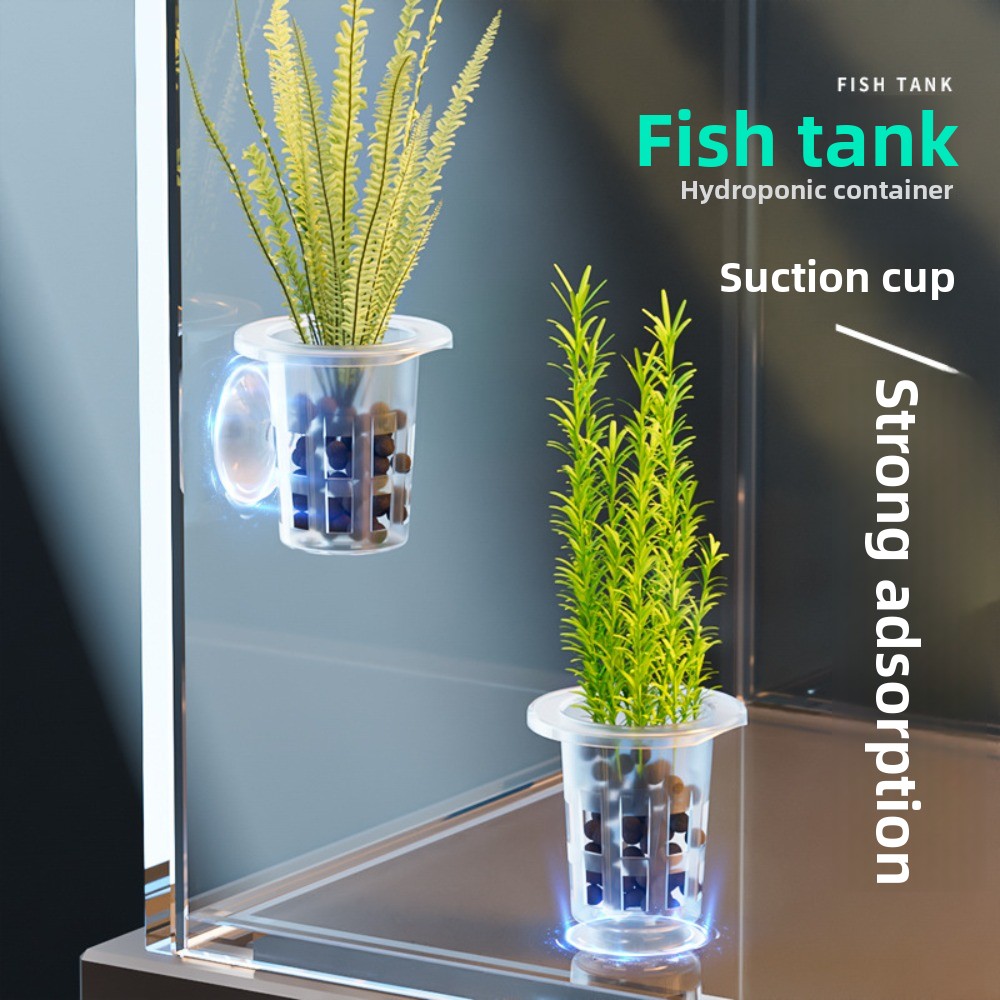 10Pcs Transparent Plant Hydrop - Hydroponic Grow Pod review and price