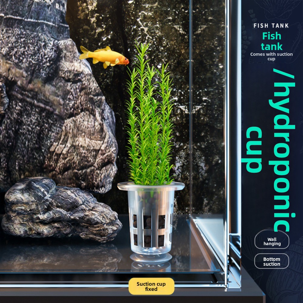 10Pcs Transparent Plant Hydrop - Hydroponic Grow Pod review and price