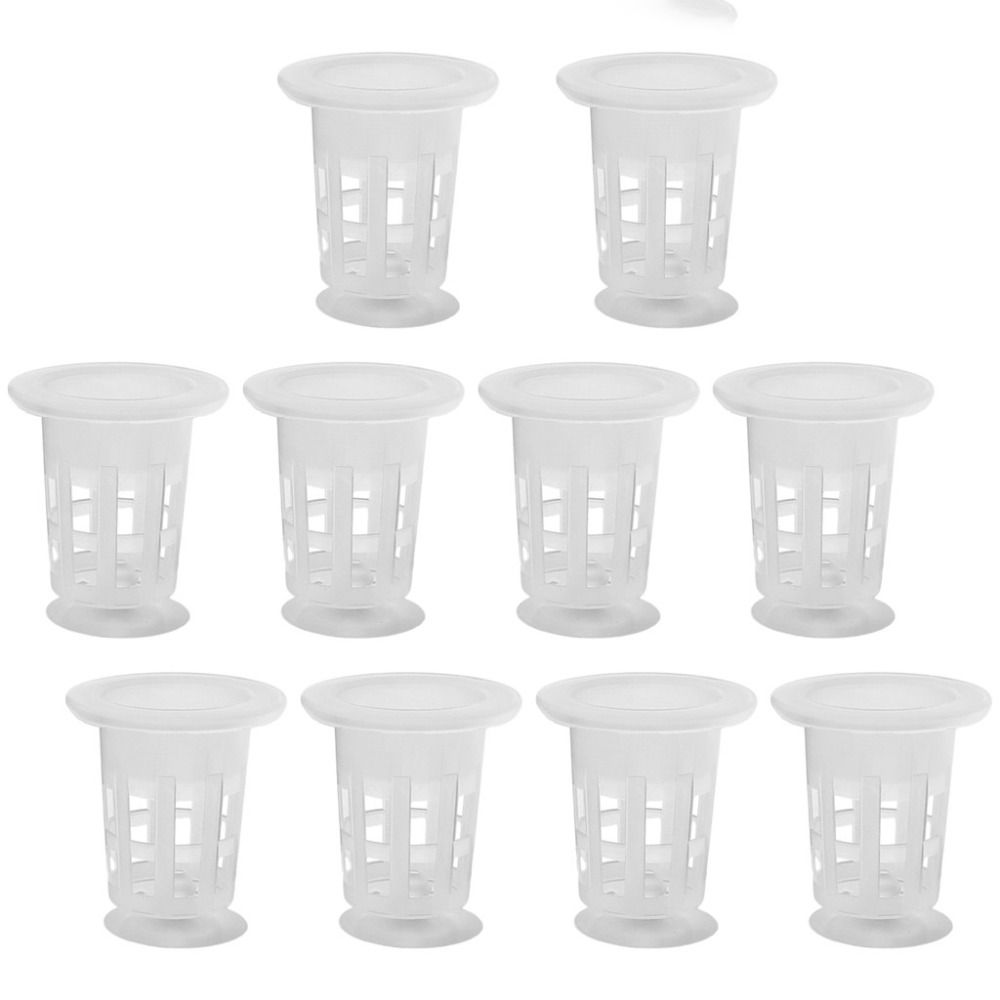 10Pcs Transparent Plant Hydrop - Hydroponic Grow Pod review and price