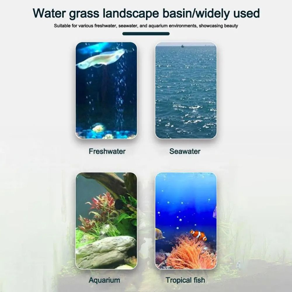 10Pcs Transparent Plant Hydrop - Hydroponic Grow Pod review and price