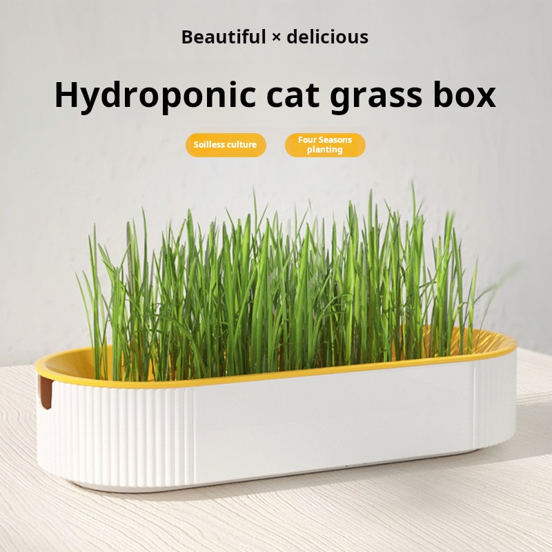 Easy Growth Hydroponic Cat Gra - Hydroponic Grow Pod review and price