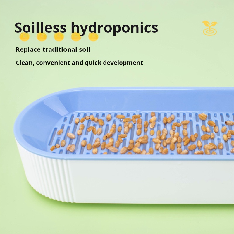 Easy Growth Hydroponic Cat Gra - Hydroponic Grow Pod review and price