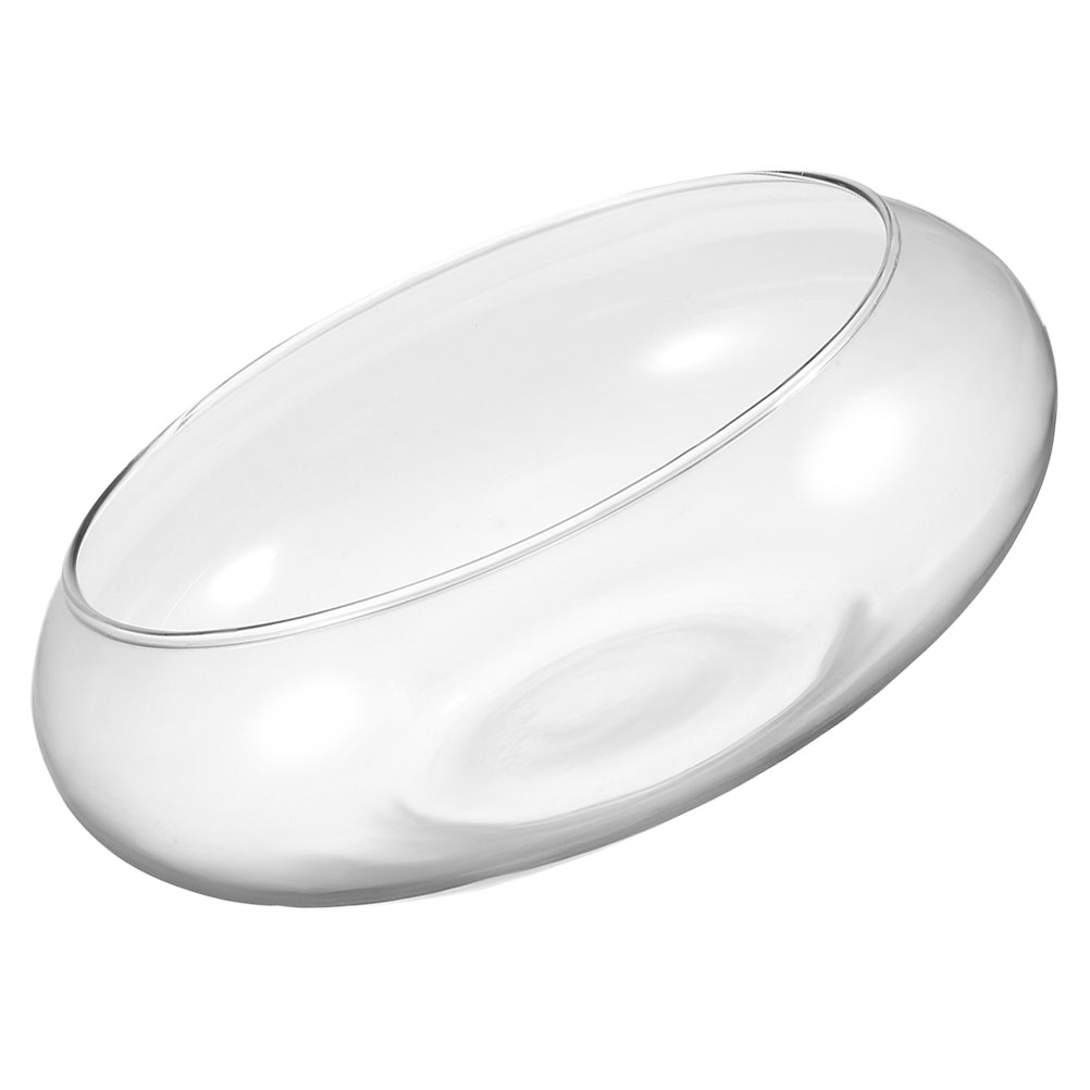 Wide Mouth Glass Vase Narcissu - Hydroponic Grow Pod review and price