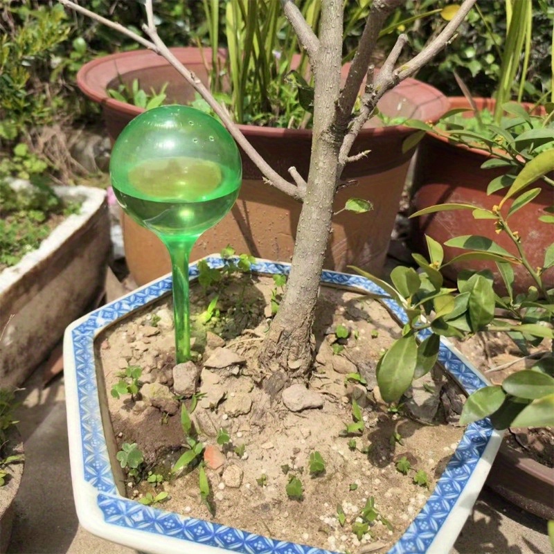 6PCS Indoor Plants Self Wateri - Smart Garden Sprinkler System review and price