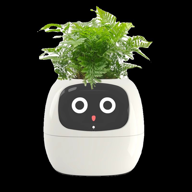 Sensor Smart Mimi Flower Pot F - Self Watering Pot Sensor review and price