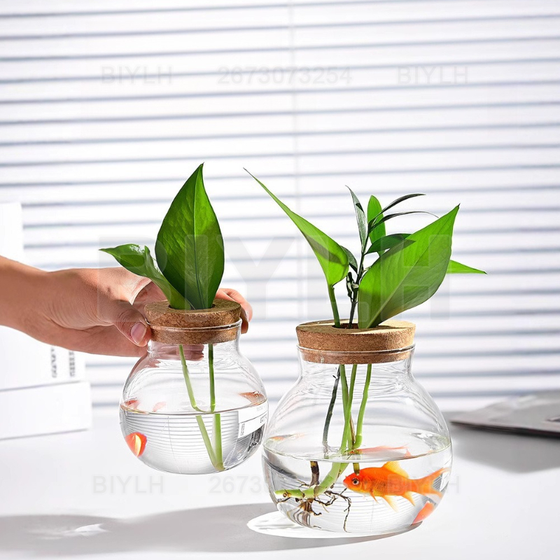 Hydroponic Plant Glass Vase Wi - Hydroponic Grow Pod review and price