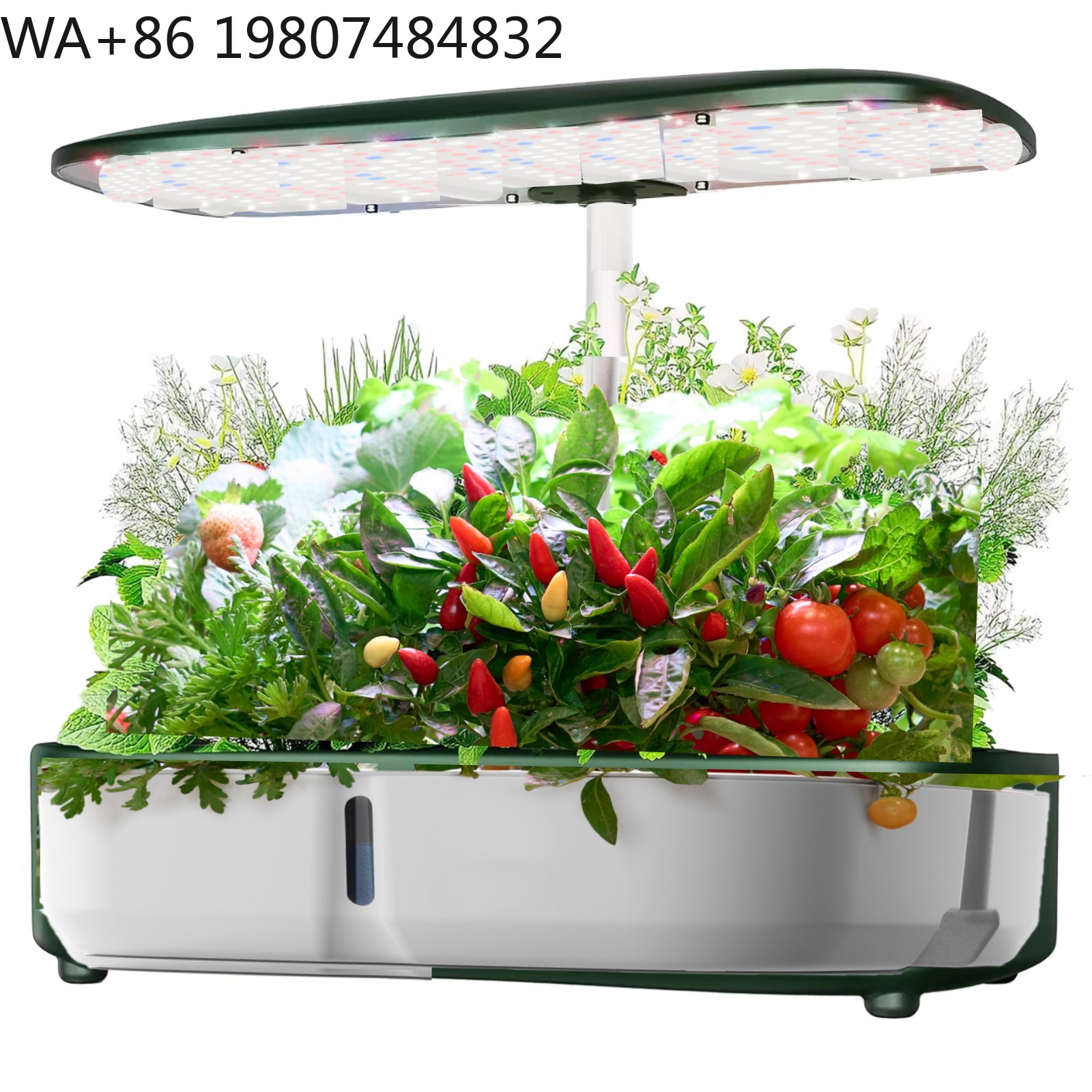 8 Pod  Mini Hydroponic Grow Bo - Hydroponic Grow Pod review and price