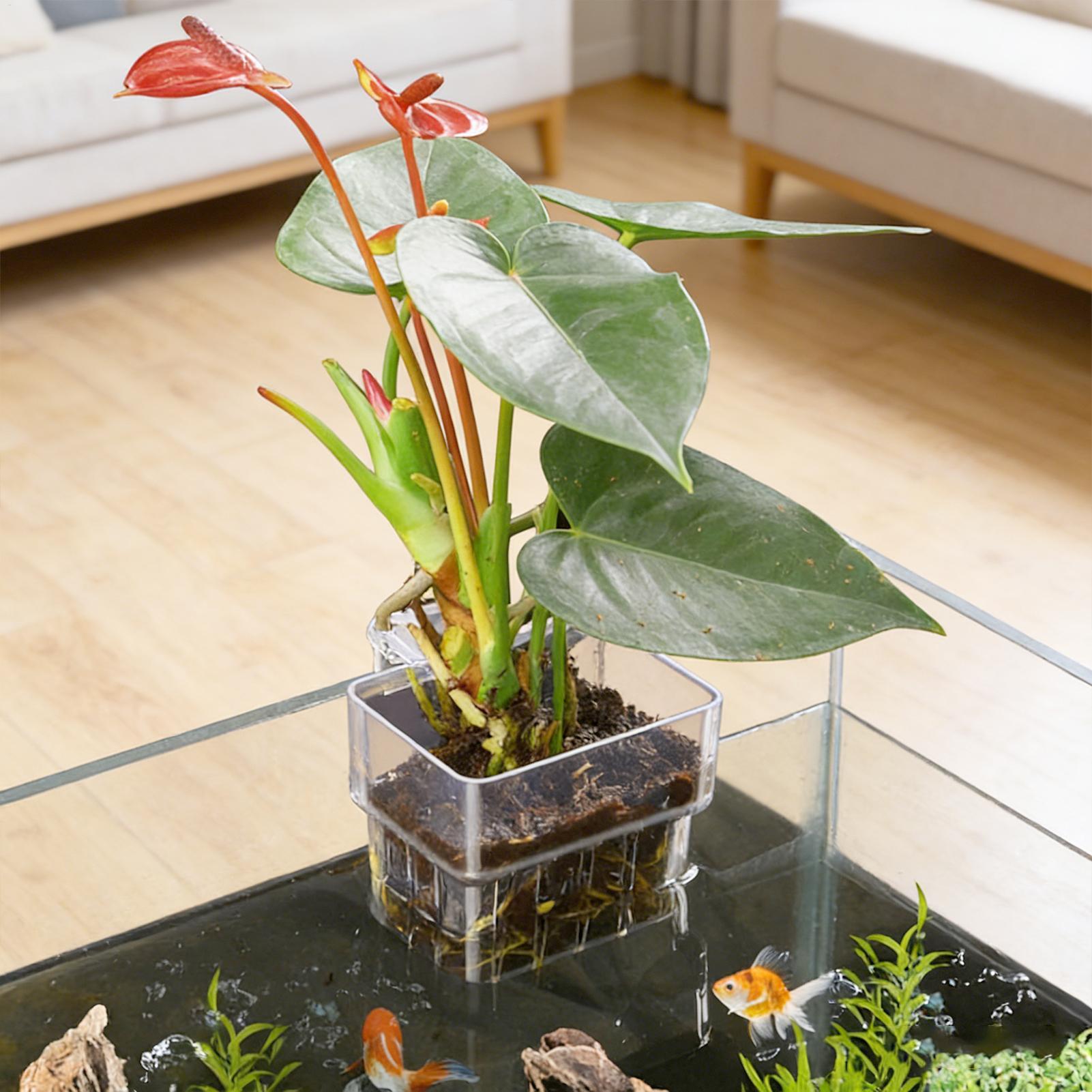 Transparent Hangable Aquarium  - Hydroponic Grow Pod review and price