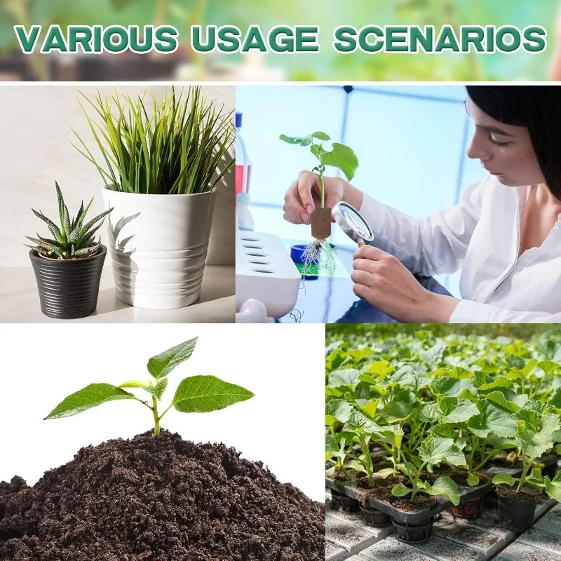 Seedling Starter Sponge Kit fo - Hydroponic Grow Pod review and price