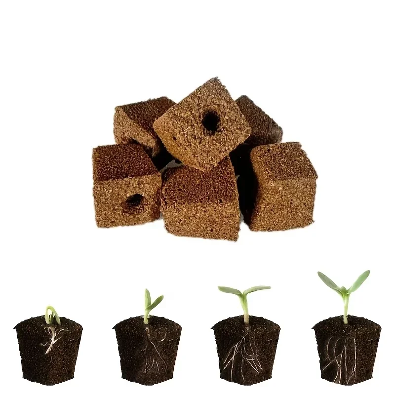 Seedling Starter Sponge Kit fo - Hydroponic Grow Pod review and price