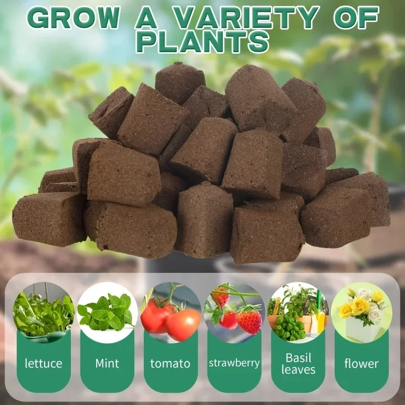 Seedling Starter Sponge Kit fo - Hydroponic Grow Pod review and price