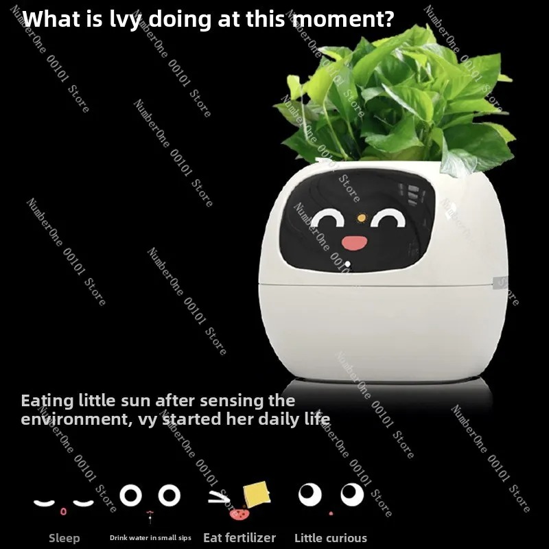 USB Rechargeable Self-Watering - Self Watering Pot Sensor review and price