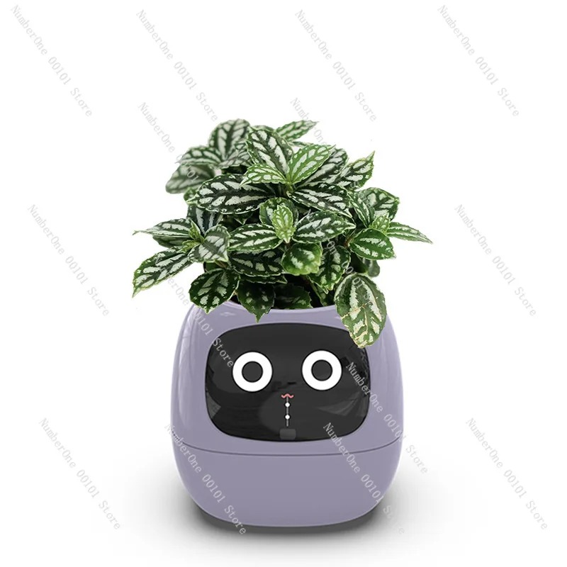 USB Rechargeable Self-Watering - Self Watering Pot Sensor review and price