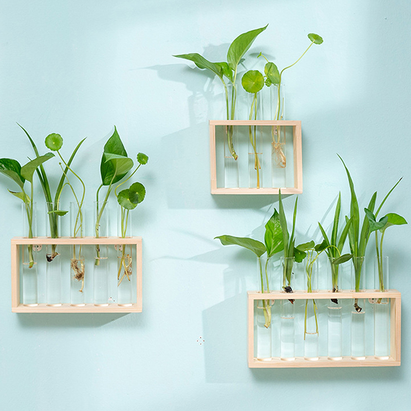 Hydroponic Plants Container wi - Hydroponic Grow Pod review and price