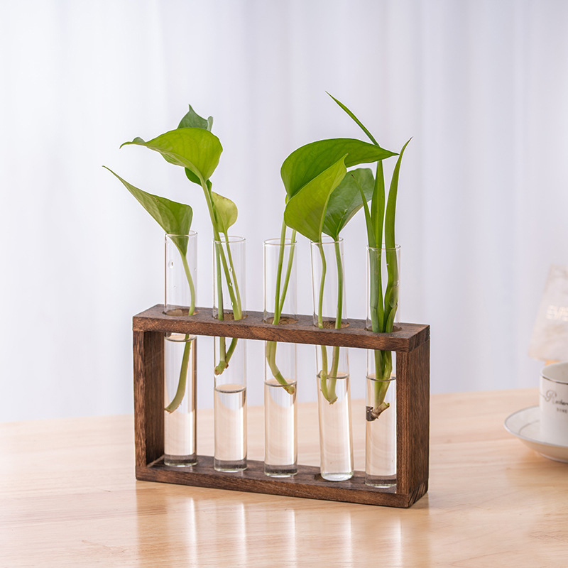 Hydroponic Plants Container wi - Hydroponic Grow Pod review and price