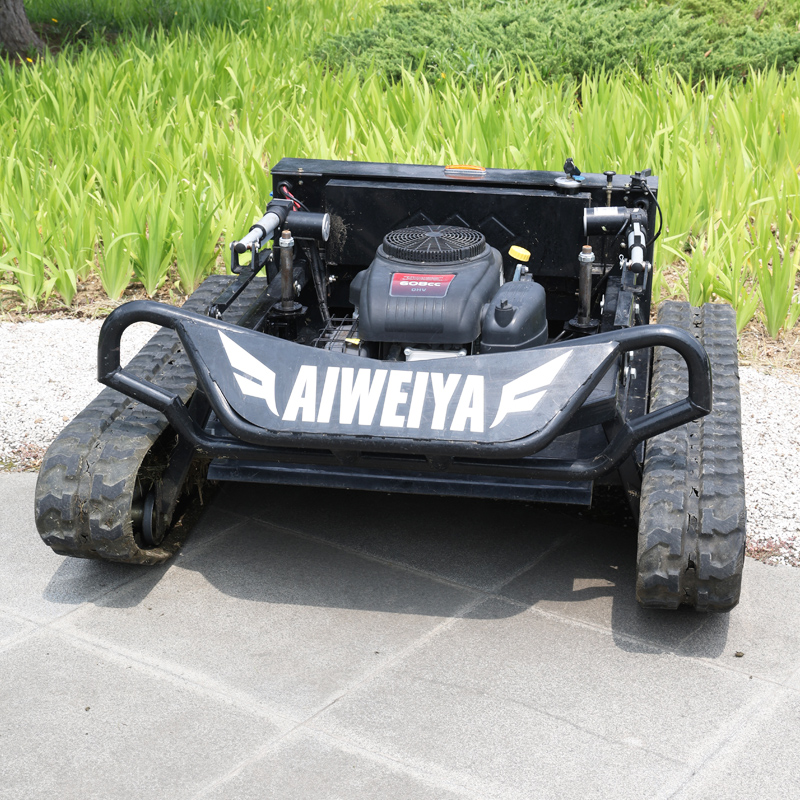Customized Petrol Remote Contr - Smart Garden Click And Grow review and price