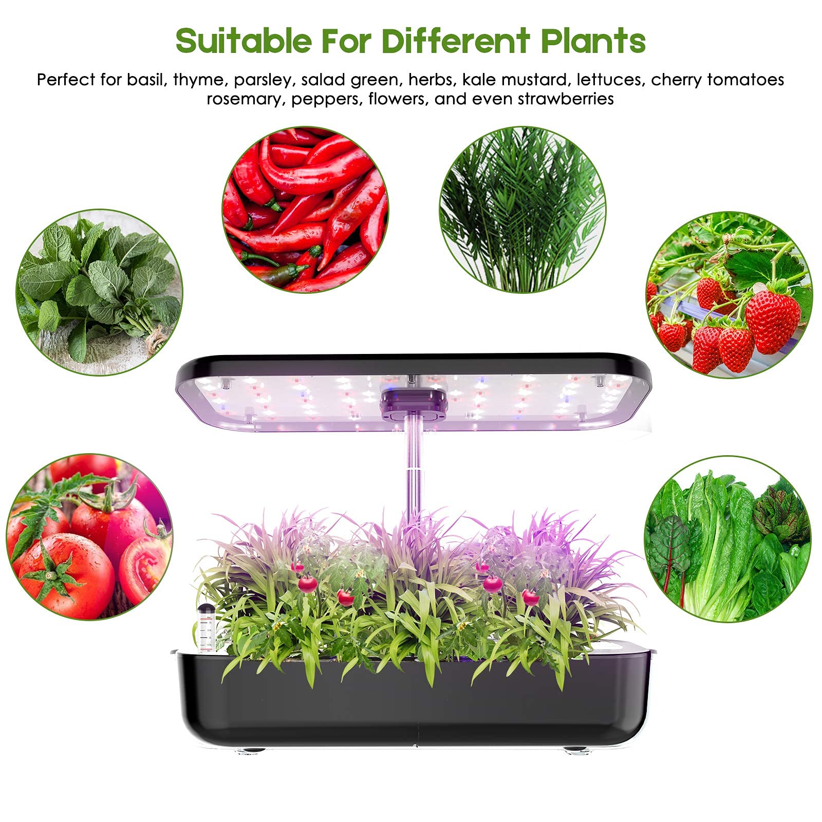 Hydroponics Growing System 12  - Smart Pod Garden review and price