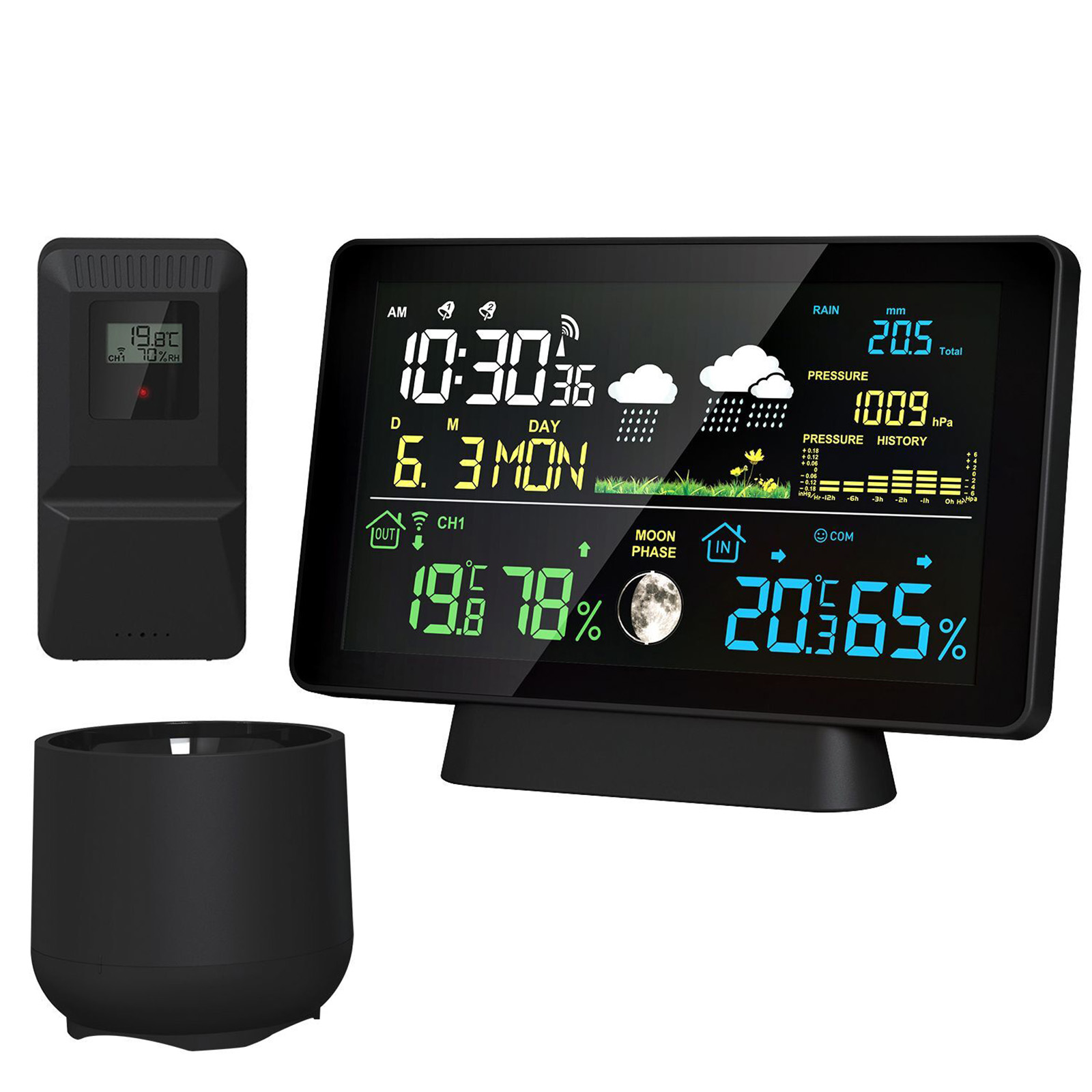 Indoor/Outdoor Wireless Weathe - Garden Weather Station review and price